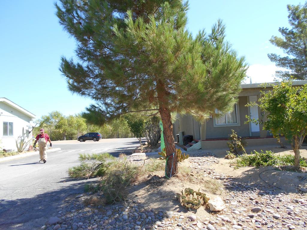 Atomic Inn Beatty Near Death Valley ภายนอก รูปภาพ